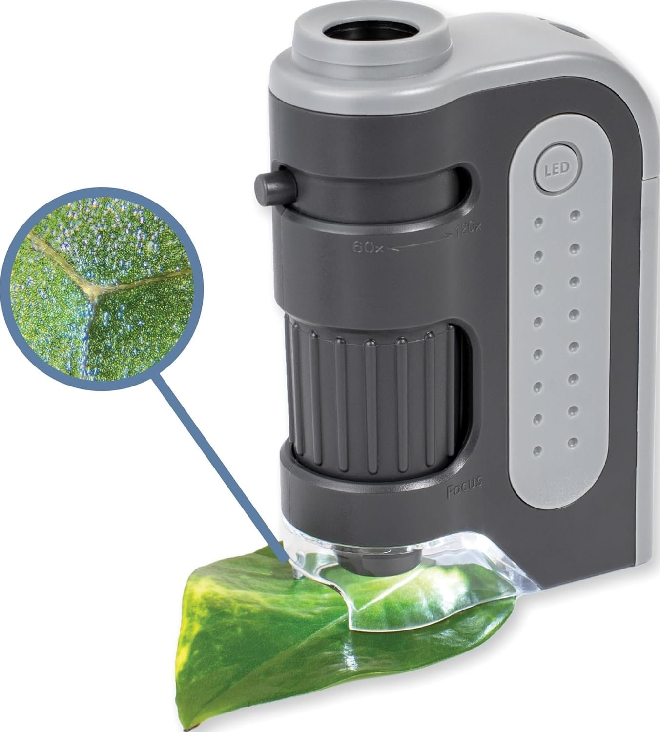 Carson MicroBrite Plus 60x-120x Pocket Microscope